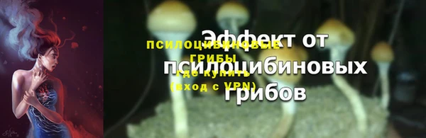ALPHA-PVP Богородицк
